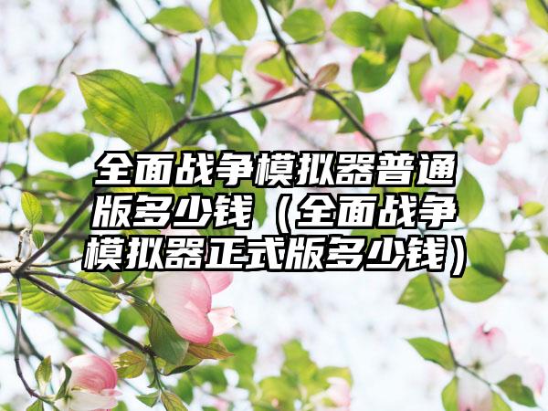 全面战争模拟器普通版多少钱（全面战争模拟器正式版多少钱）