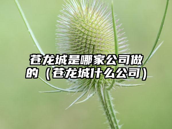 苍龙城是哪家公司做的（苍龙城什么公司）