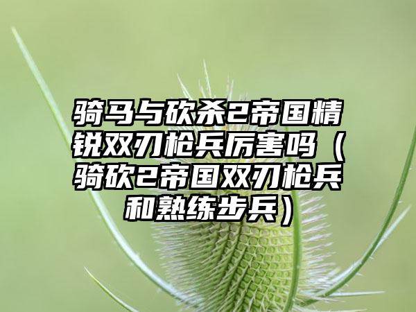 骑马与砍杀2帝国精锐双刃枪兵厉害吗（骑砍2帝国双刃枪兵和熟练步兵）