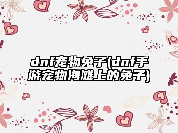 dnf宠物兔子(dnf手游宠物海滩上的兔子)