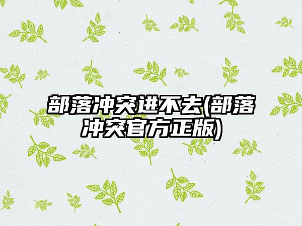 部落冲突进不去(部落冲突官方正版)