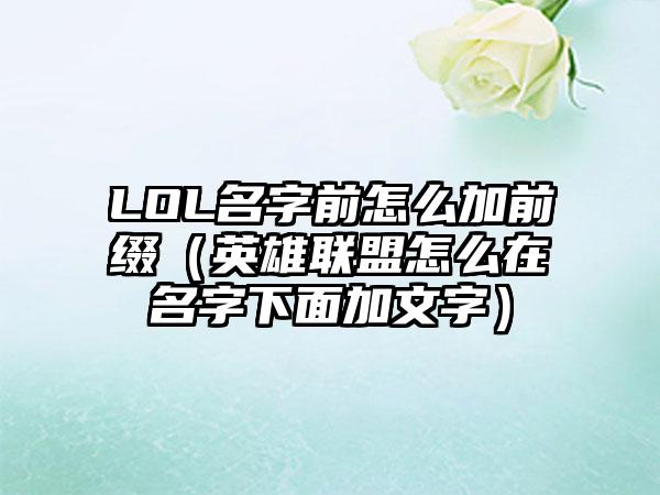 LOL名字前怎么加前缀（英雄联盟怎么在名字下面加文字）