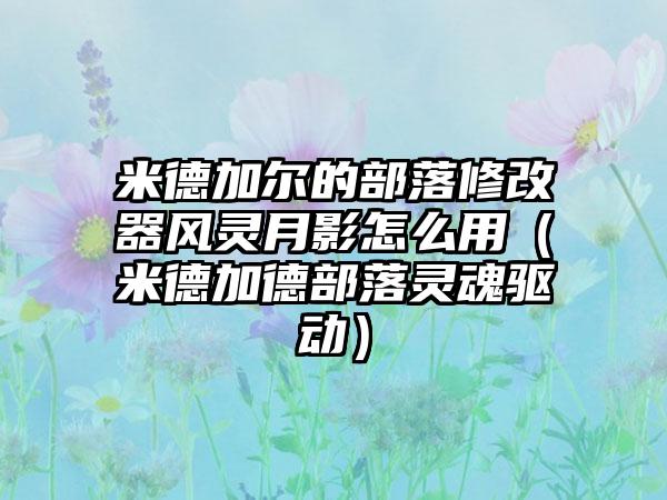 米德加尔的部落修改器风灵月影怎么用（米德加德部落灵魂驱动）