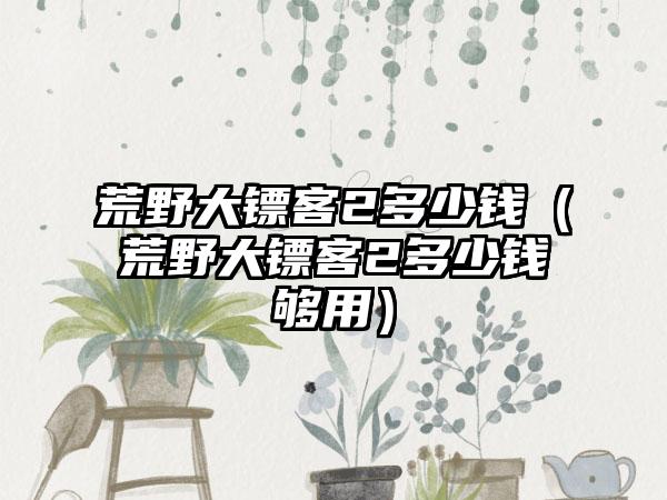 荒野大镖客2多少钱（荒野大镖客2多少钱够用）