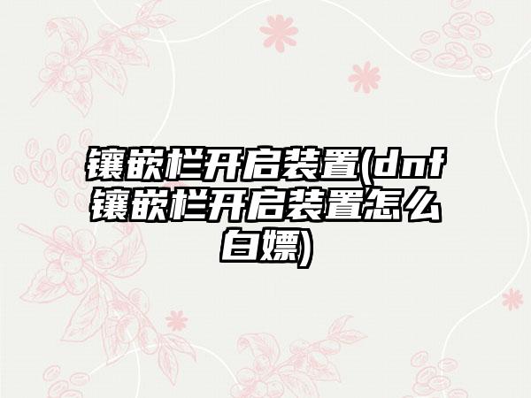 镶嵌栏开启装置(dnf镶嵌栏开启装置怎么白嫖)