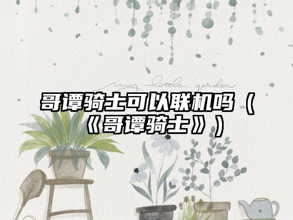 哥谭骑士可以联机吗（《哥谭骑士》）