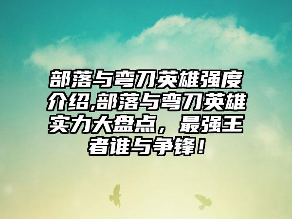 部落与弯刀英雄强度介绍,部落与弯刀英雄实力大盘点，最强王者谁与争锋！