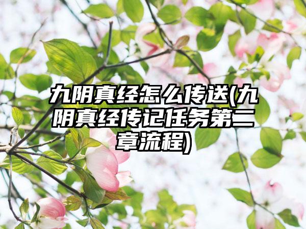 九阴真经怎么传送(九阴真经传记任务第二章流程)