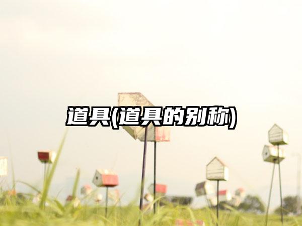 道具(道具的别称)