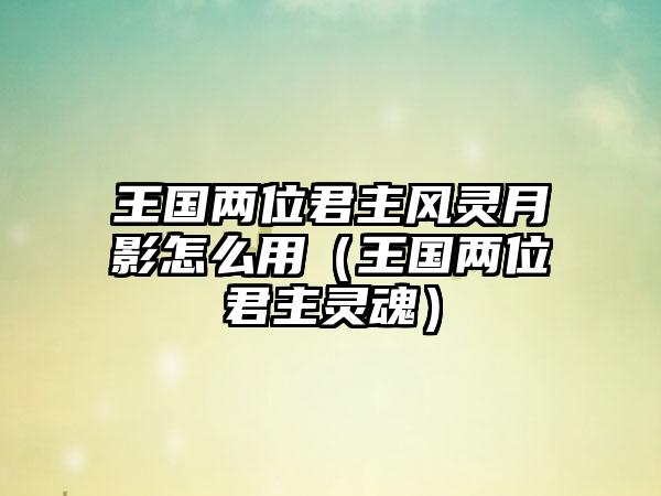 王国两位君主风灵月影怎么用（王国两位君主灵魂）