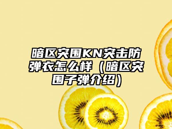 暗区突围KN突击防弹衣怎么样（暗区突围子弹介绍）