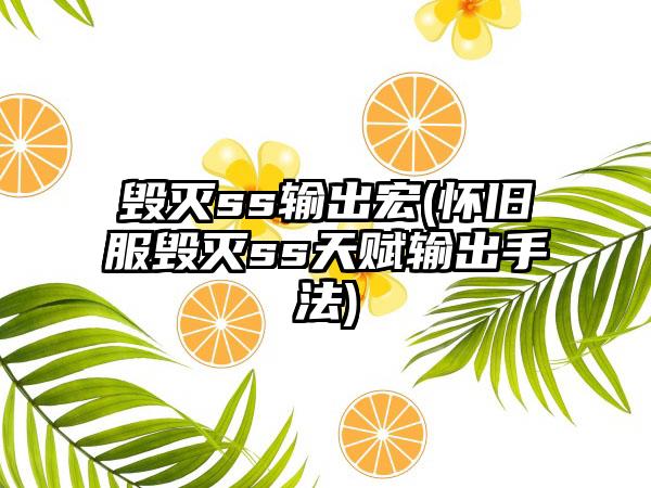 毁灭ss输出宏(怀旧服毁灭ss天赋输出手法)