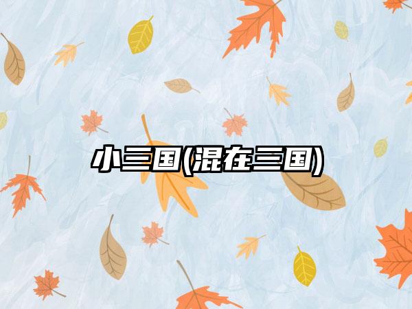 小三国(混在三国)
