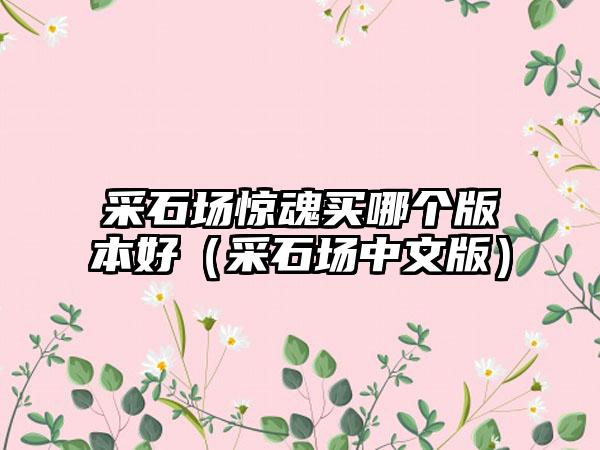 采石场惊魂买哪个版本好（采石场中文版）