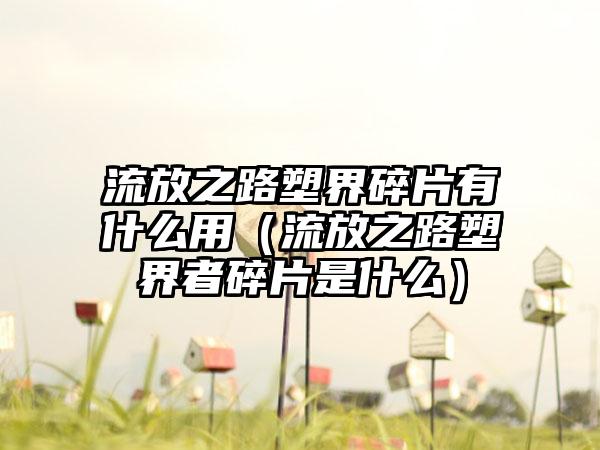 流放之路塑界碎片有什么用（流放之路塑界者碎片是什么）