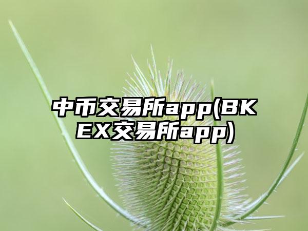 中币交易所app(BKEX交易所app)