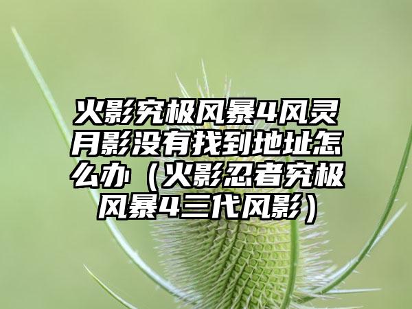 火影究极风暴4风灵月影没有找到地址怎么办（火影忍者究极风暴4三代风影）