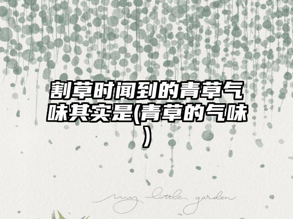 割草时闻到的青草气味其实是(青草的气味)