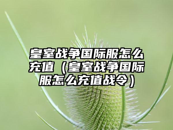 皇室战争国际服怎么充值（皇室战争国际服怎么充值战令）