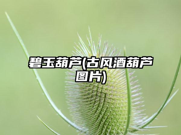 碧玉葫芦(古风酒葫芦图片)