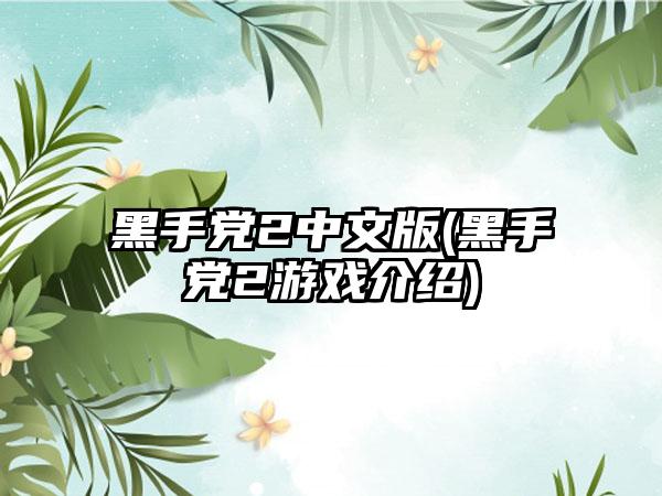 黑手党2中文版(黑手党2游戏介绍)