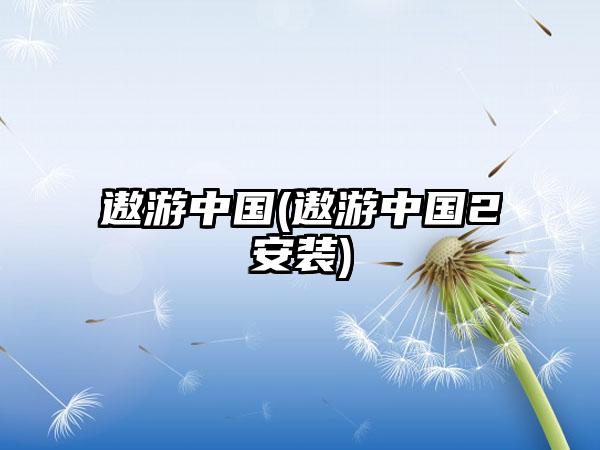 遨游中国(遨游中国2安装)