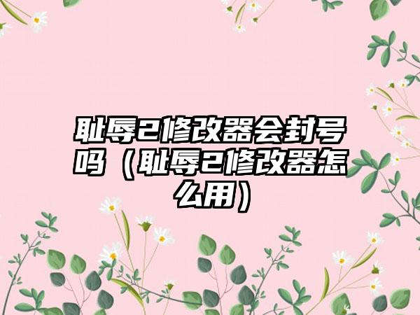 耻辱2修改器会封号吗（耻辱2修改器怎么用）