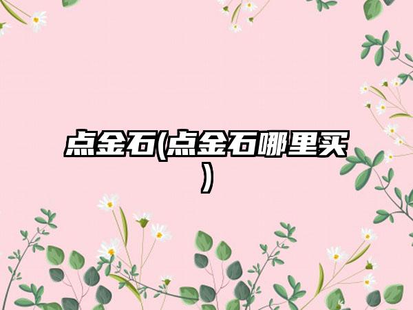 点金石(点金石哪里买)