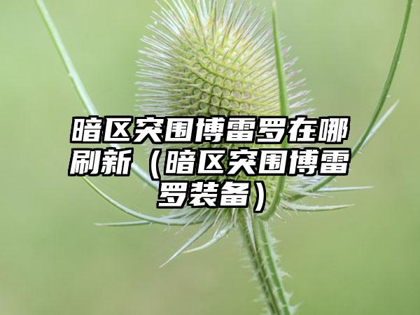 暗区突围博雷罗在哪刷新（暗区突围博雷罗装备）