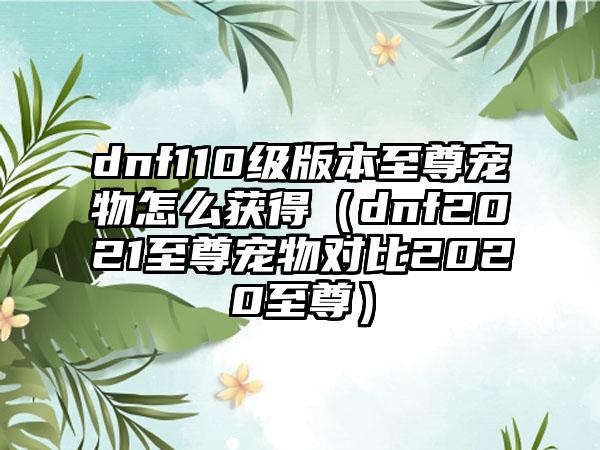 dnf110级版本至尊宠物怎么获得（dnf2021至尊宠物对比2020至尊）
