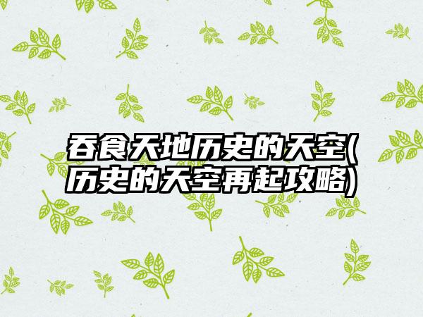 吞食天地历史的天空(历史的天空再起攻略)