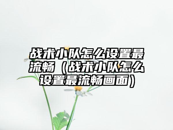 战术小队怎么设置最流畅（战术小队怎么设置最流畅画面）