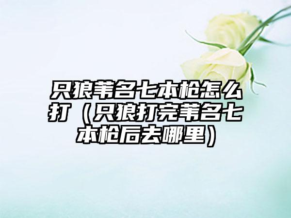 只狼苇名七本枪怎么打（只狼打完苇名七本枪后去哪里）