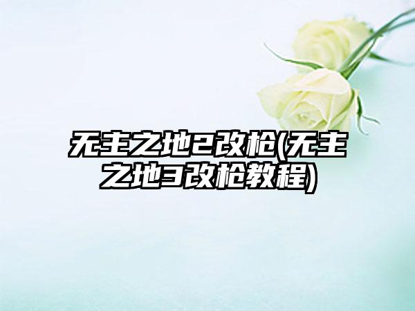 无主之地2改枪(无主之地3改枪教程)