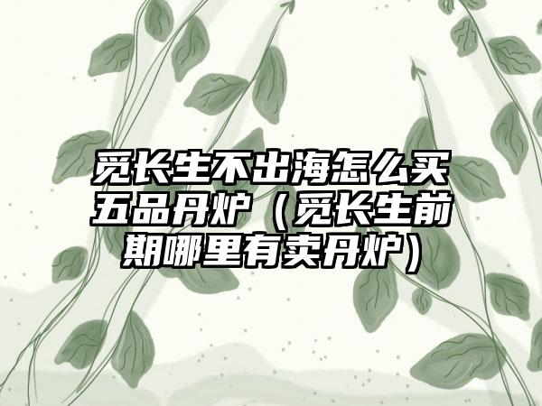 觅长生不出海怎么买五品丹炉（觅长生前期哪里有卖丹炉）