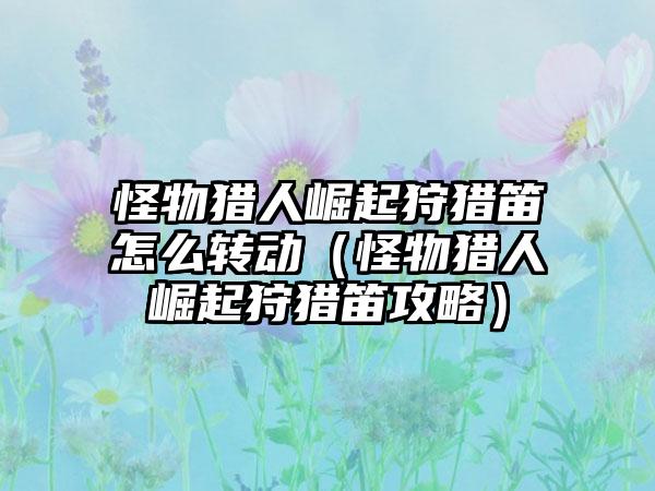 怪物猎人崛起狩猎笛怎么转动（怪物猎人崛起狩猎笛攻略）