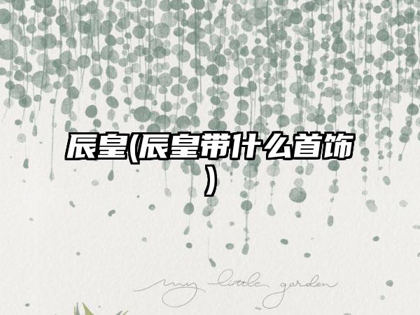 辰皇(辰皇带什么首饰)