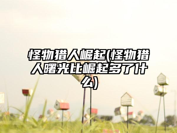 怪物猎人崛起(怪物猎人曙光比崛起多了什么)