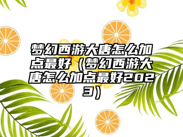 梦幻西游大唐怎么加点最好（梦幻西游大唐怎么加点最好2023）