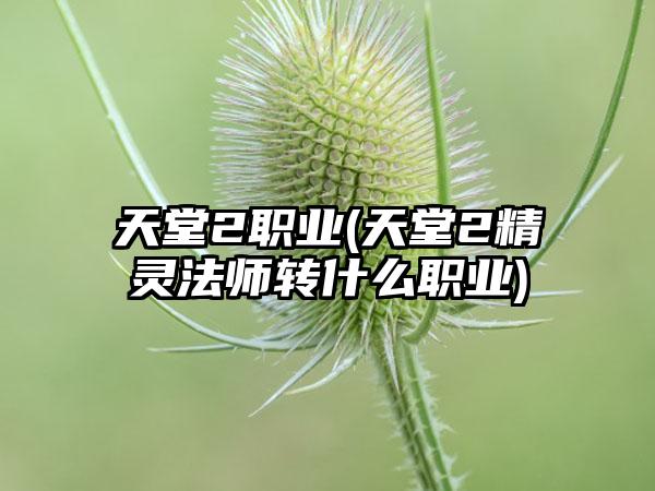 天堂2职业(天堂2精灵法师转什么职业)