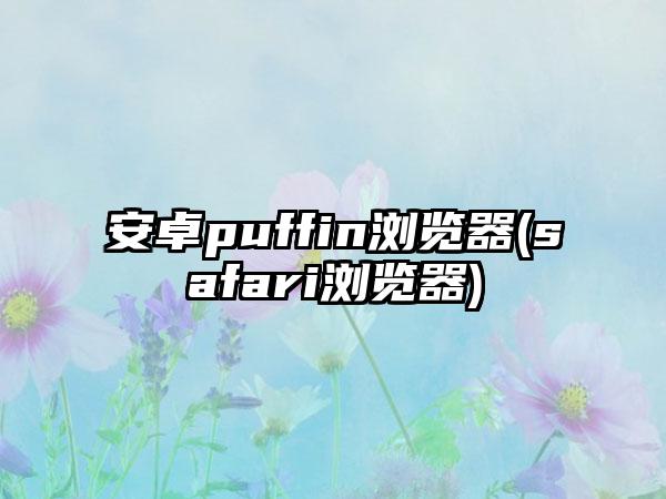 安卓puffin浏览器(safari浏览器)