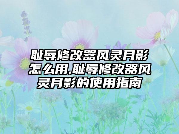 耻辱修改器风灵月影怎么用,耻辱修改器风灵月影的使用指南