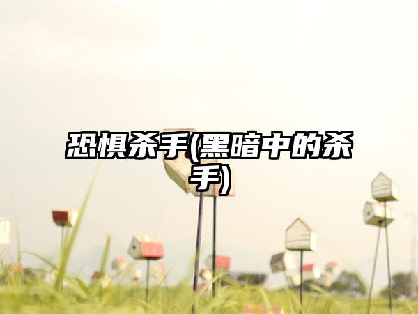 恐惧杀手(黑暗中的杀手)