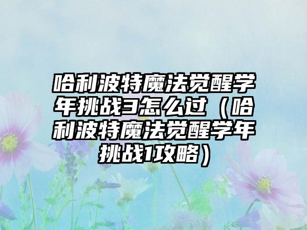哈利波特魔法觉醒学年挑战3怎么过（哈利波特魔法觉醒学年挑战1攻略）