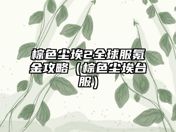 棕色尘埃2全球服氪金攻略（棕色尘埃台服）