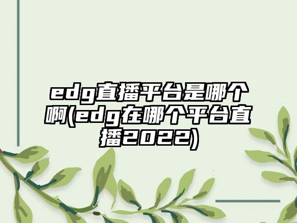 edg直播平台是哪个啊(edg在哪个平台直播2022)