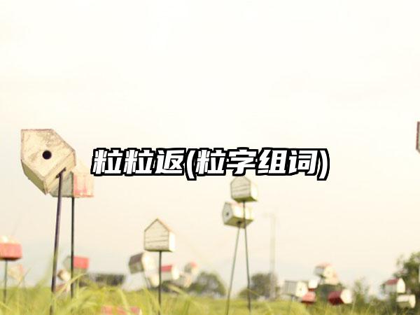 粒粒返(粒字组词)