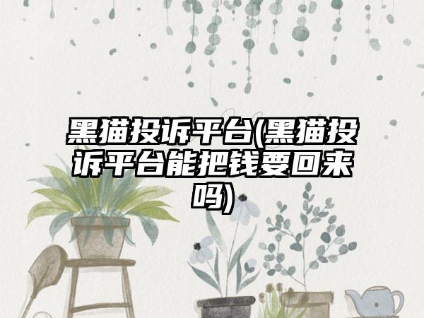 黑猫投诉平台(黑猫投诉平台能把钱要回来吗)