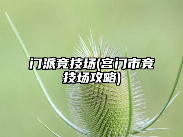 门派竞技场(宫门市竞技场攻略)