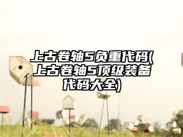 上古卷轴5负重代码(上古卷轴5顶级装备代码大全)